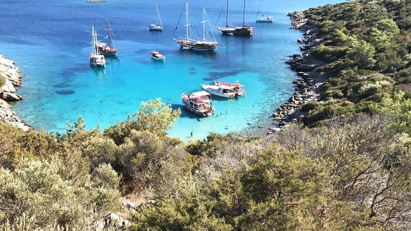 Bodrum: Boat Tour for Mein Schiff and Aida Cruise Passengers - Setting out from Halikarnas harbor
