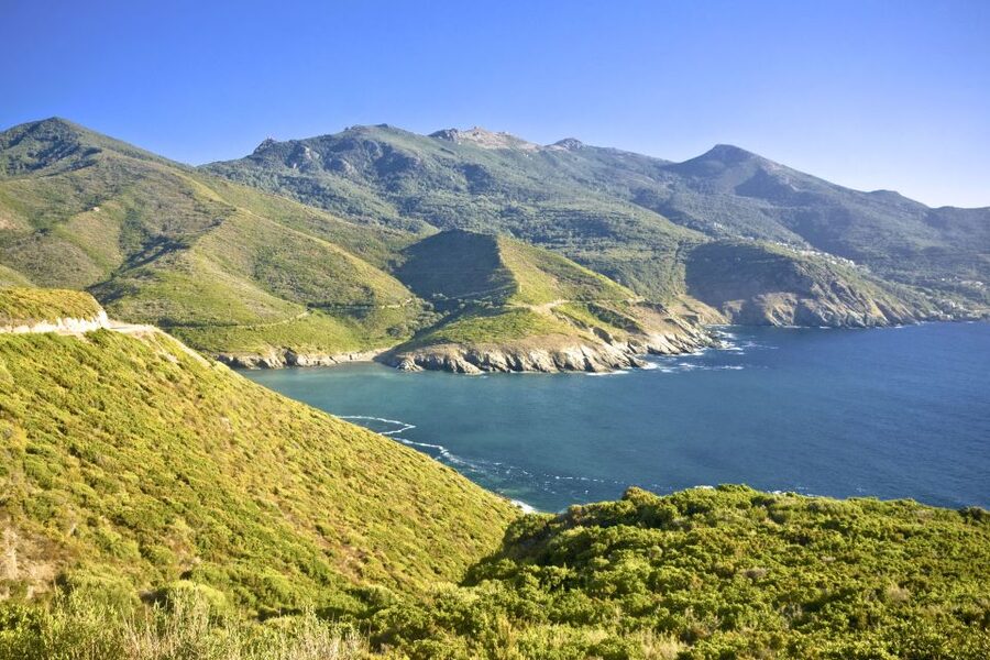 Bonifacio by Sea: Unmissable Escape from Ajaccio/Porticcio - Roccapina and the lion-shaped rock