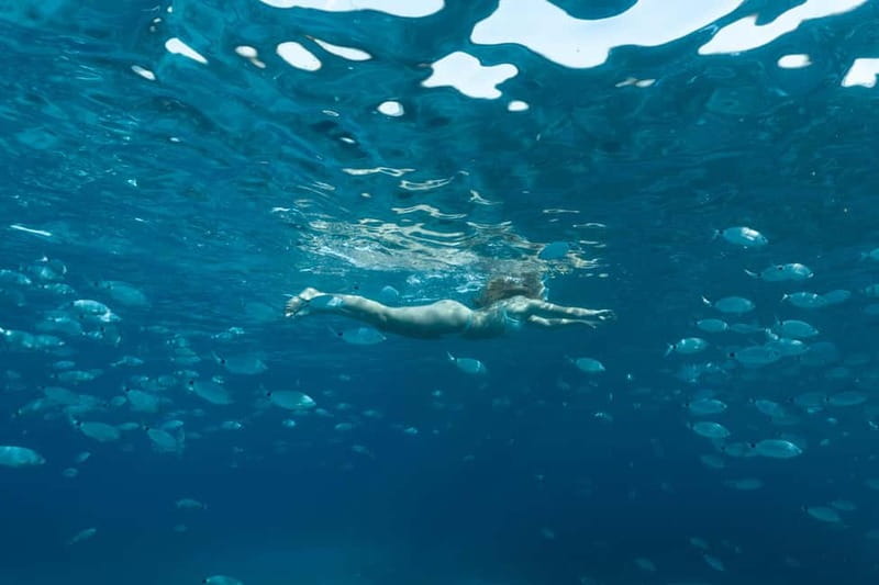Bonifacio: Catamaran trip with snorkeling at the Lavezzi Islands - Who will enjoy this trip most