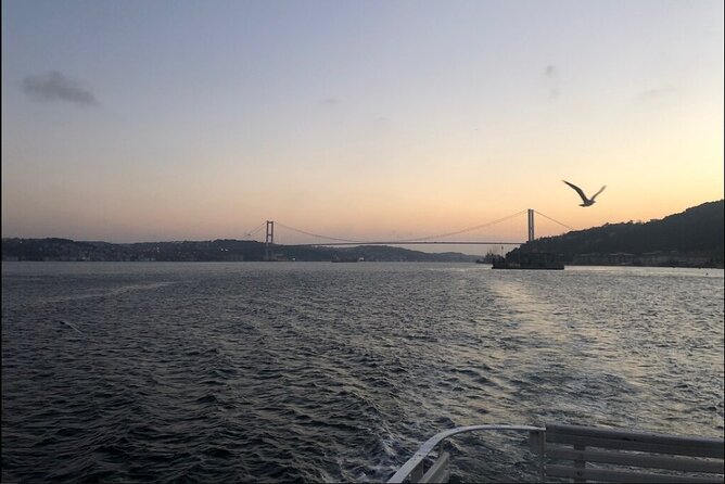 Bosphorus Explorer: 3-Hour Cruise with Asian Side Visit - The Asian-side stop at Beylerbeyi