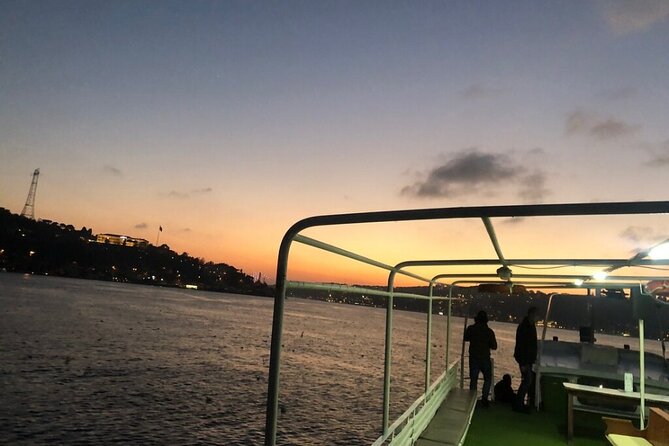 Bosphorus Explorer: 3-Hour Cruise with Asian Side Visit - Palaces, mosques, and the first bridge