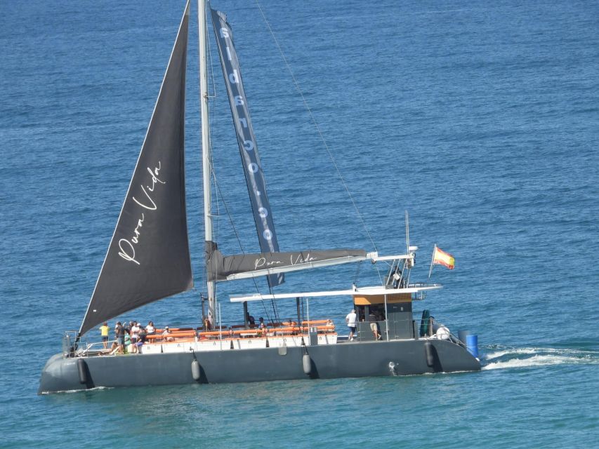 Cádiz: Bay of Cádiz Catamaran Tour with Host - What the 75-minute cruise feels like