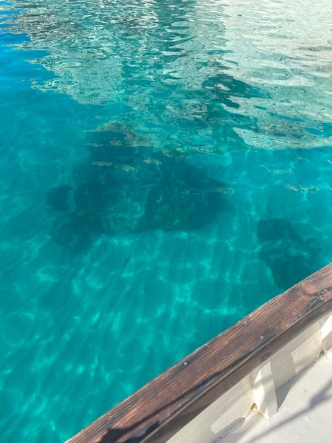 Cagliari: Classic Boat tour along the gulf with tasting. - Key points to know before booking