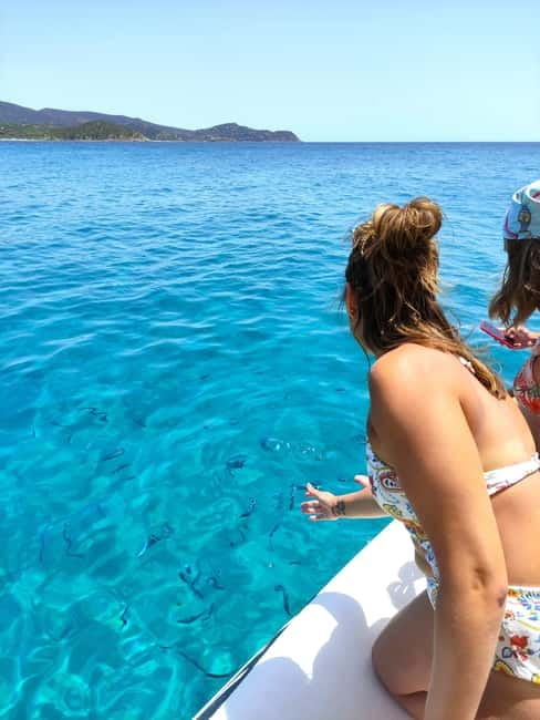 Cagliari: More Than a Boat Tour; Snack, Swim, Sip & Snorkel - Dolphins, fish, and what you might actually see