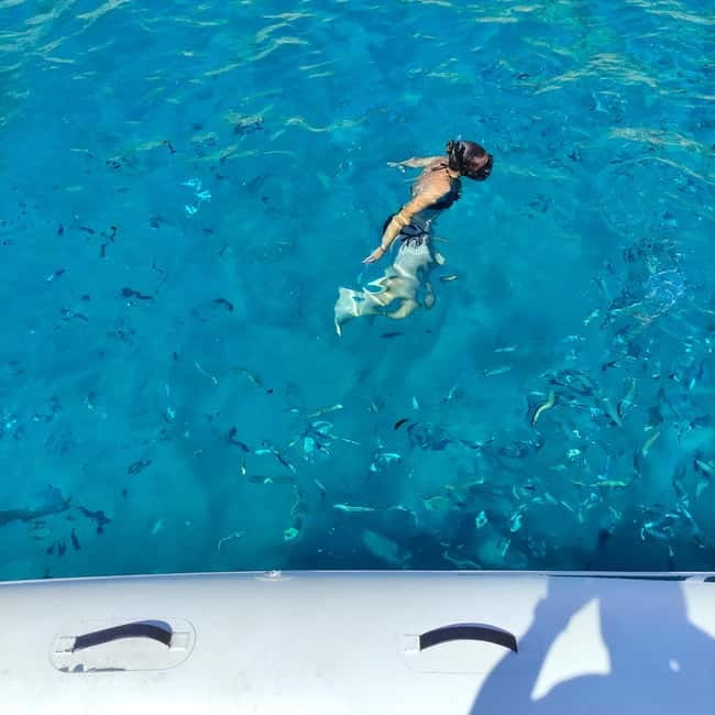 Cagliari: More Than a Boat Tour; Snack, Swim, Sip & Snorkel - Starting under the trees at Calata dei Trinitari
