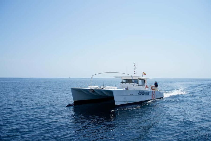 Calpe: Motor catamaran with a swim stop and optional lunch - Seeing Calpe’s cliffs, caves, and beaches