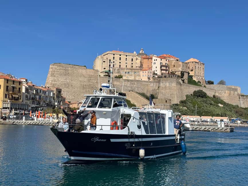 Calvi: Guided speedboat tour to Scandola and Girolata - Who should book this boat trip?