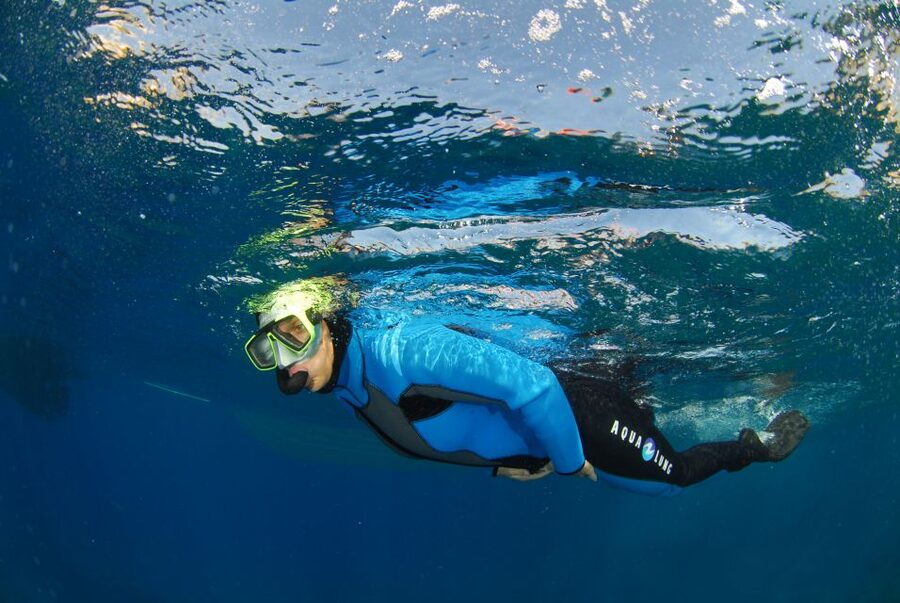 Calvi: Pointe de la Revellata Snorkeling Boat Tour - Is $41 a fair price?