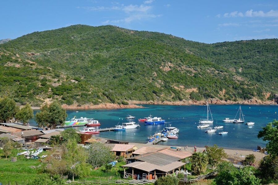 Calvi: Scandola and Girolata 6-Hour Boat Tour - Why this Calvi boat tour is worth considering