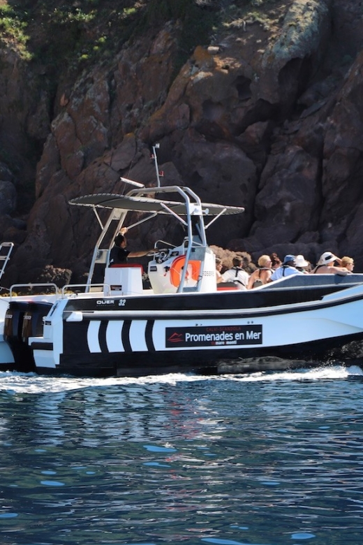 Calvi: Scandola and Girolata 6-Hour Boat Tour - Scandola’s caves, beaches, and protected coast