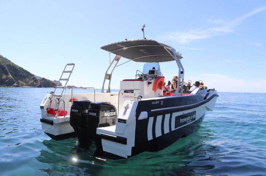 Calvi: Scandola and Girolata 6-Hour Boat Tour - Timing, comfort, and the main drawbacks