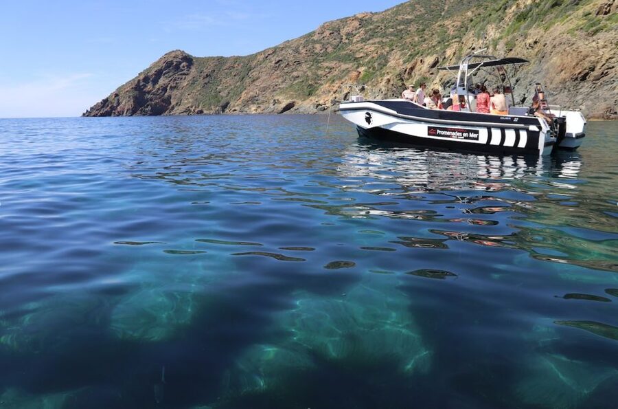 Calvi: Scandola and Piana Guided Boat Tour - Key points to know before booking