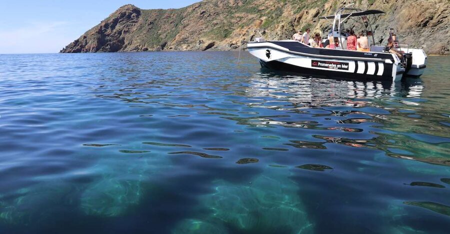 Calvi: Scandola and Piana Guided Boat Tour - Who will enjoy this boat tour most?