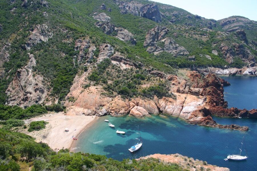 Calvi to Scandola: 4-Hour Boat Tour - Why this Calvi boat trip is worth considering