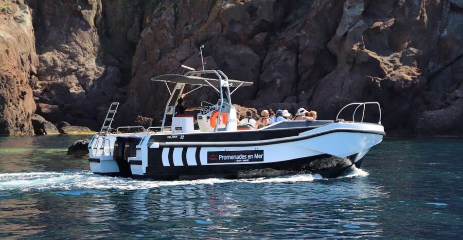 Calvi to Scandola: 4-Hour Boat Tour - Entering the Scandola Natural Reserve