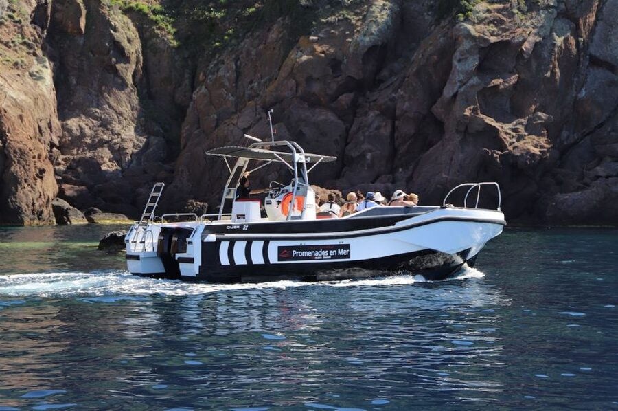 Calvi to Scandola: 4-Hour Boat Tour - The guide makes the difference