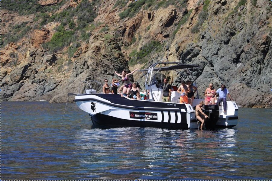 Calvi to Scandola: 4-Hour Boat Tour - How the $105 price measures up