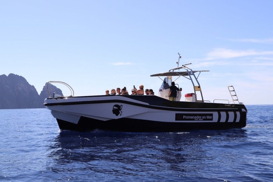 Calvi to Scandola: 4-Hour Boat Tour - Who should book this experience?