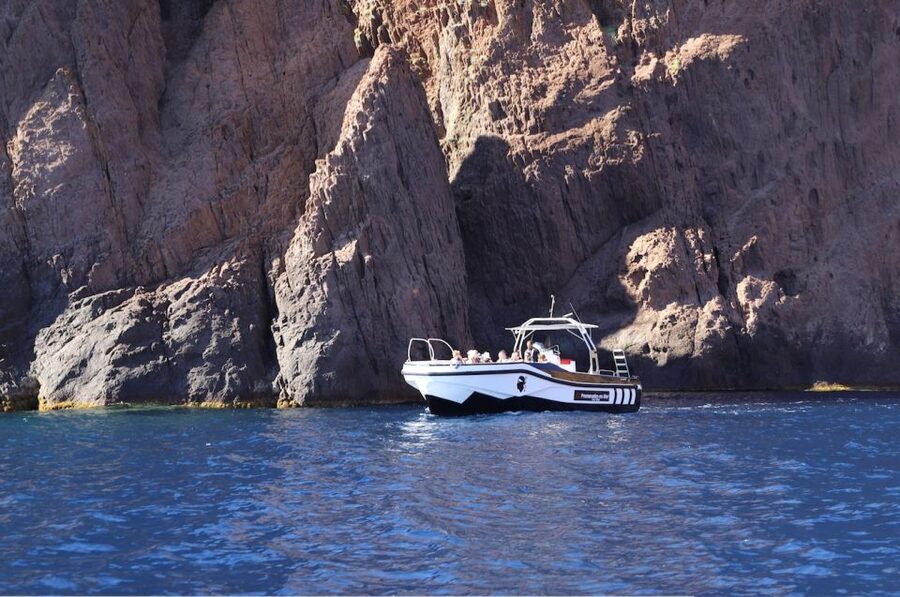 Calvi to Scandola: 4-Hour Boat Tour - Booking details that matter
