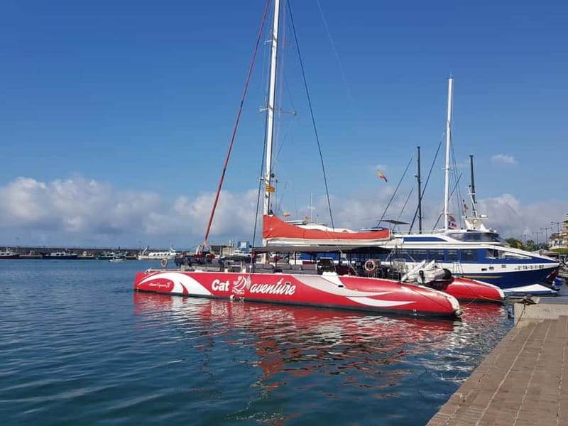 Cambrils/Salou: Coastline Catamaran 2h with drinks, pickup - Key points to know before booking