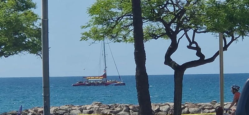 Cambrils/Salou: Coastline Catamaran 2h with drinks, pickup - Drinks, shade, and the Balinese bed
