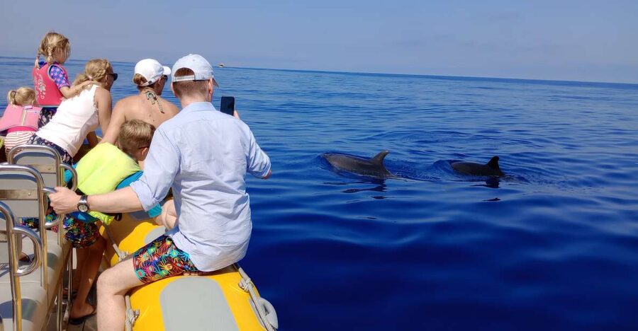 Can Picafort: Dolphin Watching Boat Tour, Swimming stop - Why the sunrise departure is worth considering