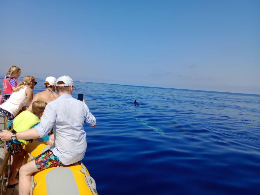 Can Picafort: Dolphin Watching Boat Tour, Swimming stop - Swimming and snorkeling in a secluded cove