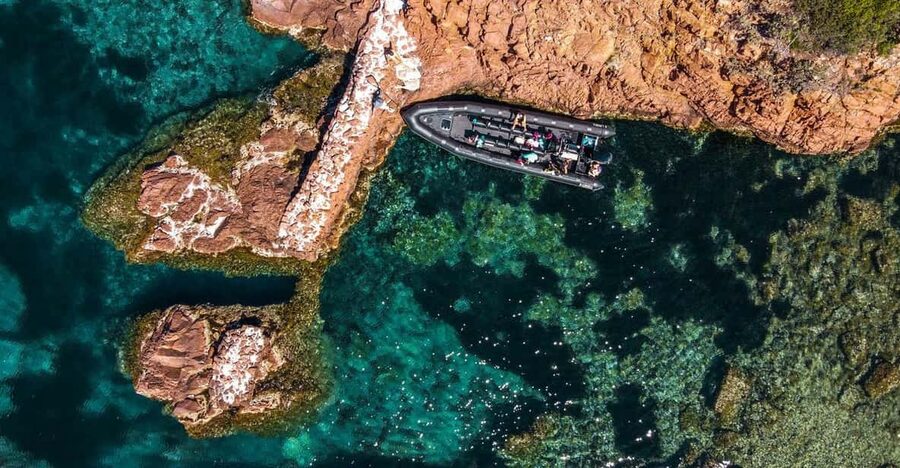 Cannes: Estérel Massif Boat Excursion - Key points to know before you book
