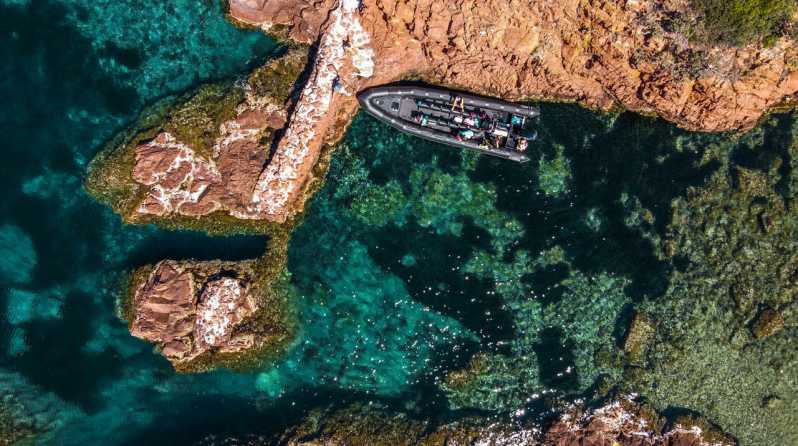Cannes: Estérel Massif Boat Excursion - Mandelieu-la-Napoule and the first coastal views