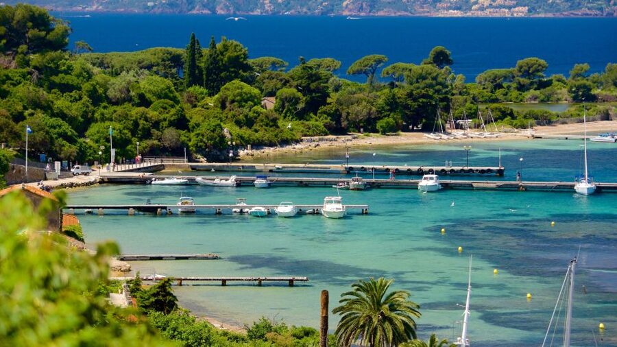 Cannes: Private Boat Trip to Lerins Islands & Cap d'Antibes - Crossing the Golfe-Juan to the Lerins Islands