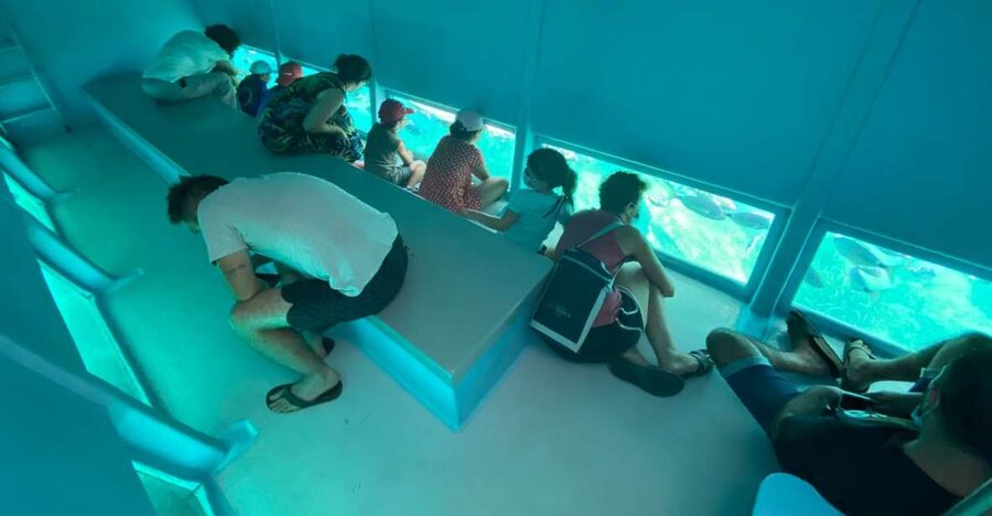Cap Norfeu: Costa Brava Catamaran Trip with Underwater Views - Key points to know before you book
