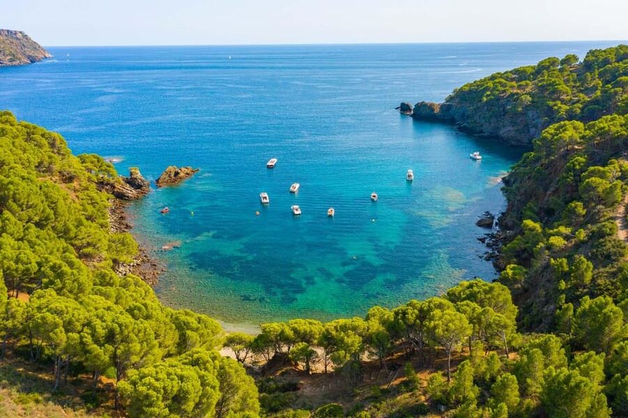 Cap Norfeu: Costa Brava Catamaran Trip with Underwater Views - Cap Norfeu, the route’s natural highlight