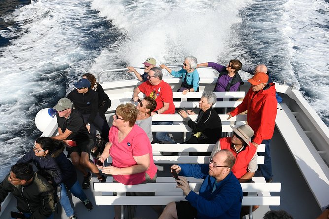 Capri Coast to Coast: Boat Tour with Optional Blue Grotto - The Blue Grotto option needs careful planning