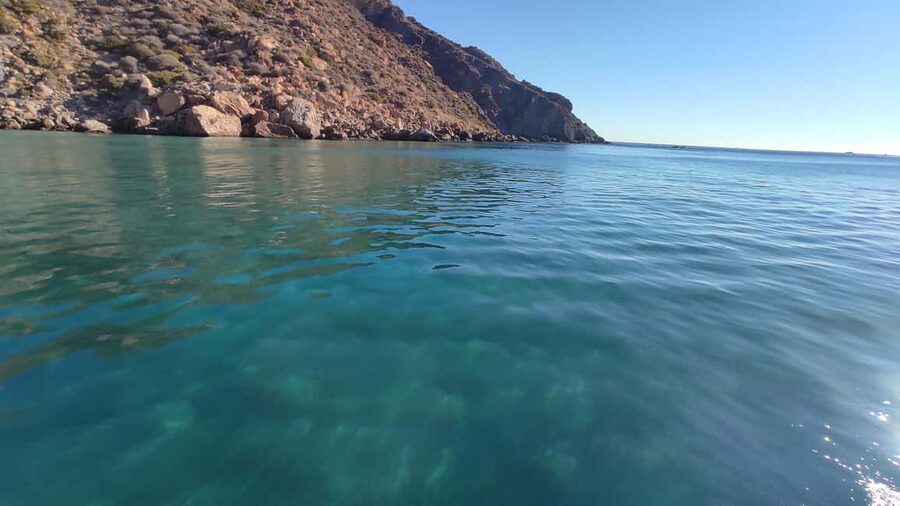 Cartagena: Guided boat tour to Isla de las Palomas - Fatares Beach and Isla de la Torrosa