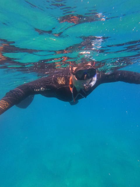 Chania: Boat Trip with Guided Snorkeling Tour - Is $88 a fair price?
