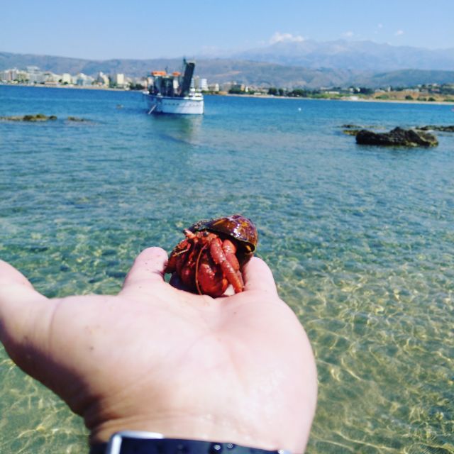 Chania Town: Glass-Bottom Boat Cruise to Thodorou & Lazareta - Key things to know before you book