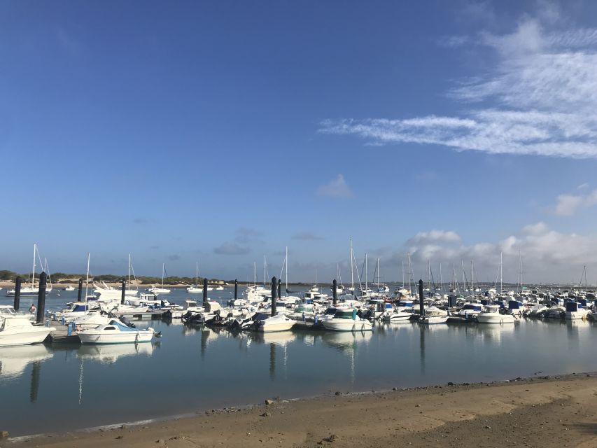 Chiclana de la Fra: Coast of Sancti Petri Catamaran Tour - Key points before you book