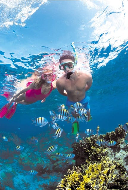 Crete: Coastline Snorkeling Cruise from Hersonissos Port - Saint George Beach and the first 45 minutes