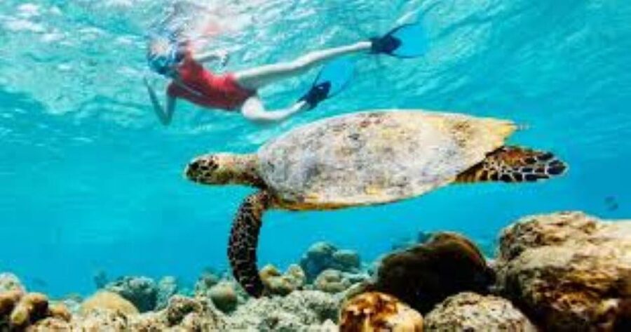 Crete: Coastline Snorkeling Cruise from Hersonissos Port - Is $35 good value?