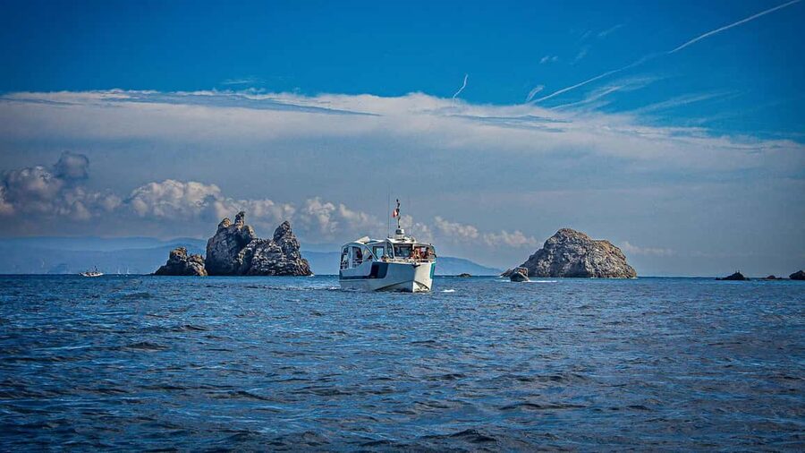 Cruise of the 2 Islands: Porquerolles & Port-Cros with stops - Why this cruise works well from Bormes-les-Mimosas