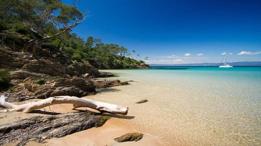 Cruise of the 2 Islands: Porquerolles & Port-Cros with stops - Porquerolles: four hours and fifteen minutes to choose your own plan