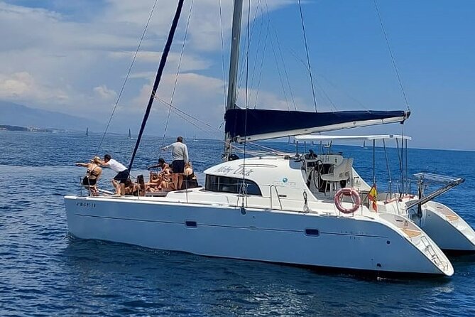Dolphin trips on a catamaran - Key points to know before you go