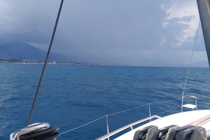Dolphin trips on a catamaran - Sailing, engine power, and what to expect