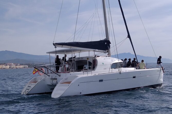 Dolphin trips on a catamaran - The swimming stop in the open sea