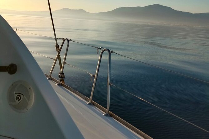 Dolphin trips on a catamaran - Los Delfines: the main search for wild dolphins