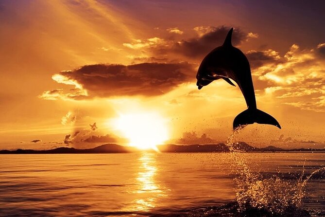 Dolphin Watching & Sunset Boat Tour With Dinner and Drinks - A three-hour evening from Pula