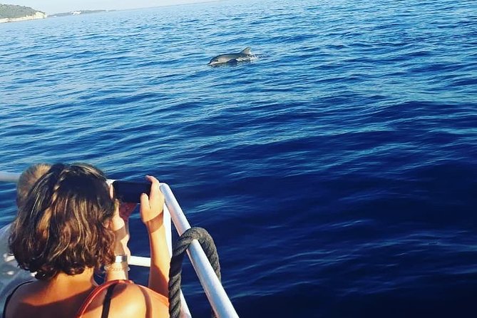 Dolphin Watching & Sunset Boat Tour With Dinner and Drinks - Dinner, wine, and the practical side of the meal