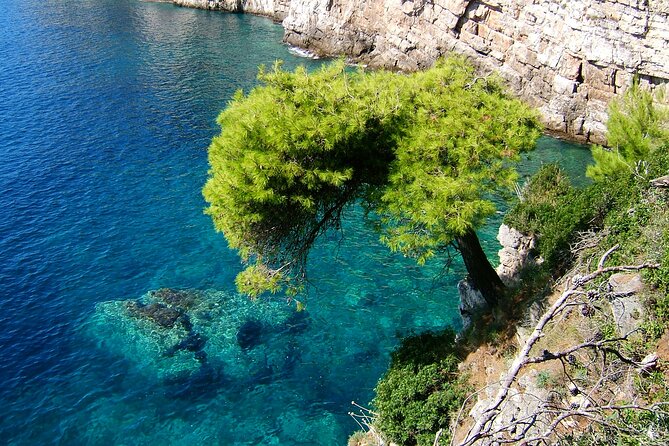 Dubrovnik: 3 Islands Boat Tour with Lunch & drinks(FR, ES, EN) - Who should book this boat trip?