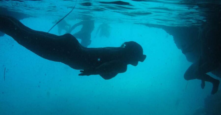 Dubrovnik: Blue Cave & Sunj Beach Boat Tour with Drinks - Key things to know before booking