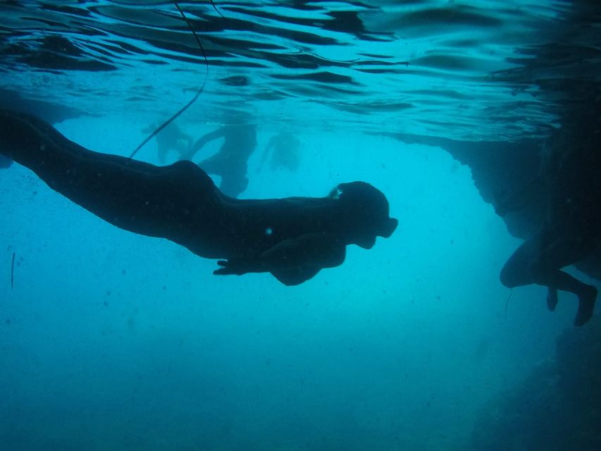 Dubrovnik: Blue Cave & Sunj Beach Boat Tour with Drinks - Setting out by speedboat
